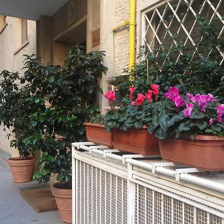 In Pizzo Ar Tetto 아파트 로마
