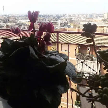 아파트 In Pizzo Ar Tetto